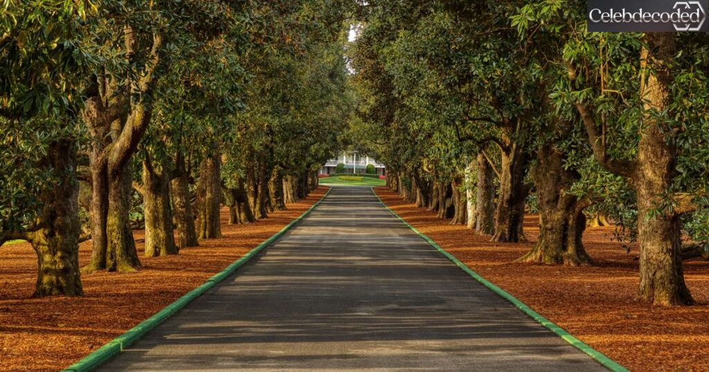 Magnolia Lane green tunnel